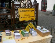 2011 Juli Mahnwache Infostand in  GZ 01